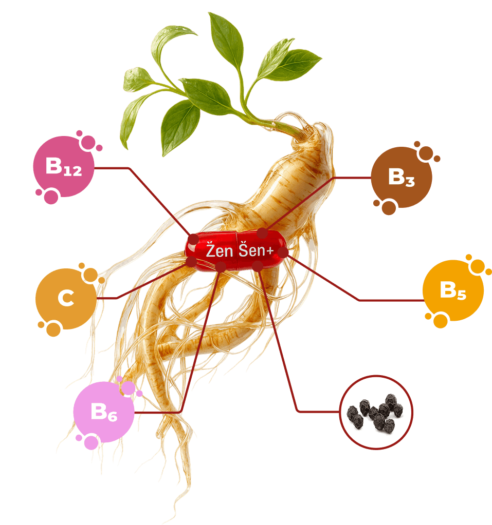 Výhody ŽenŠen Energy+
