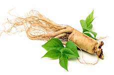 Symbol Extrakt zo ženšenu